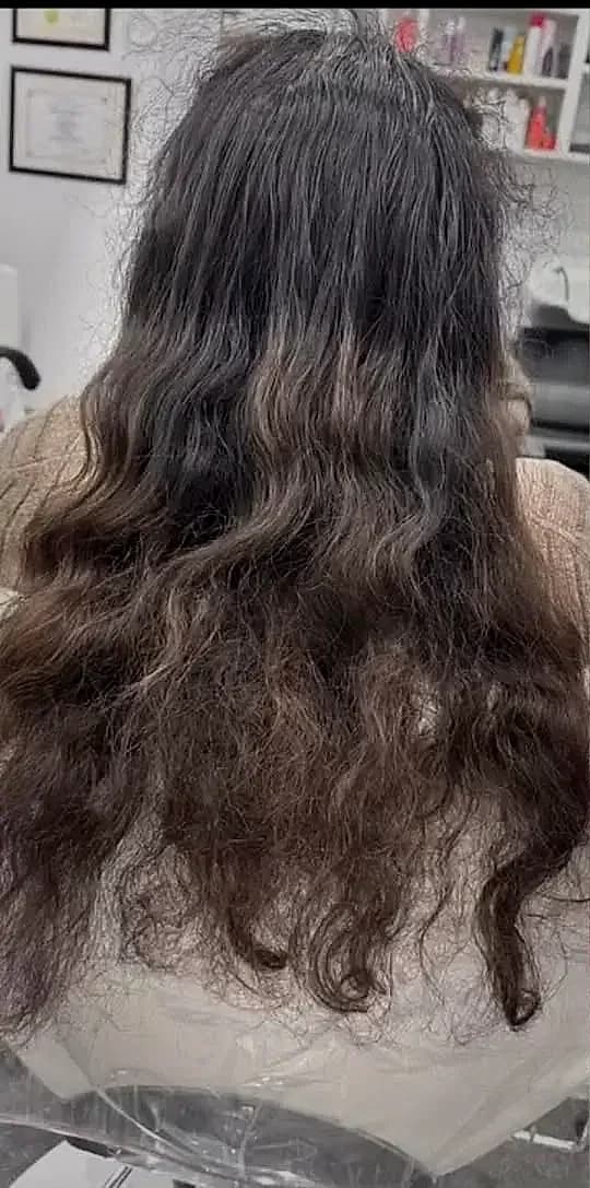 Hair before color transformation